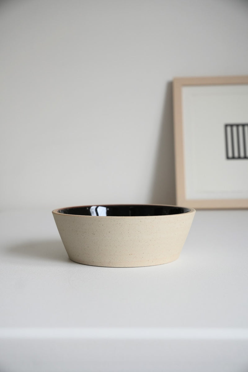 Hasami Artisan Earthy Stoneware Bowl: Matte and Glaze Surface